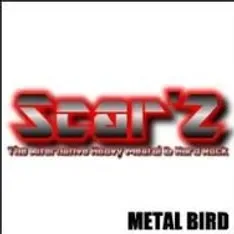 Metal Bird cover