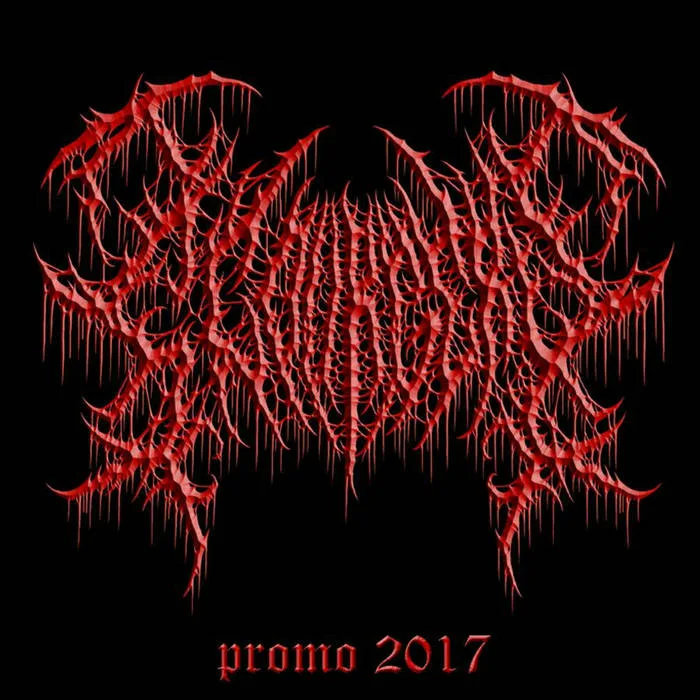 Promo 2017 cover