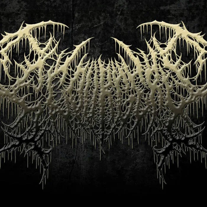 Demented Execration cover