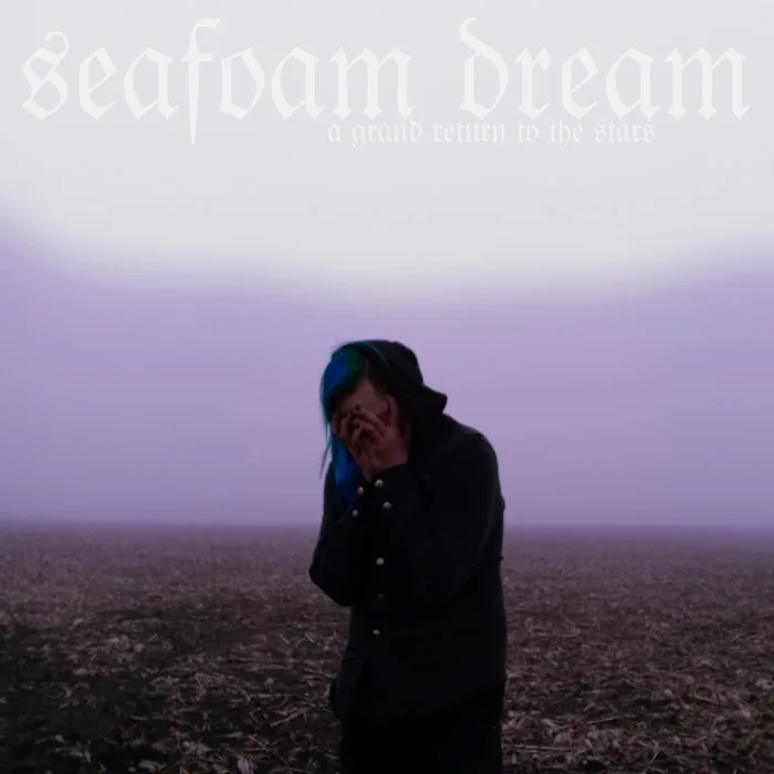 A Grand Return to the Stars cover