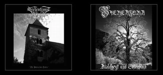 Die Boten der Toten / Waldheyt und Totenkalk cover