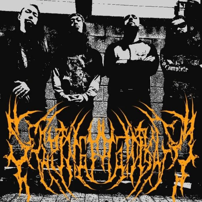 Profound Torment cover