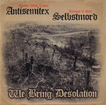We Bring Desolation cover