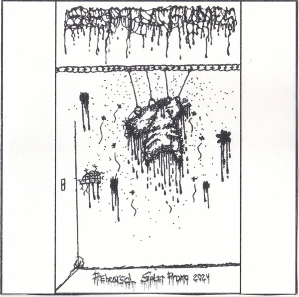 Rehearsal Split Promo 2024 cover