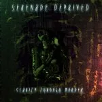 Clarity Through Murder cover