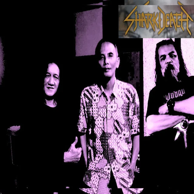 The Darkness of Sharkleer cover