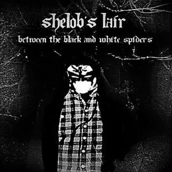 Between the Black and White Spiders cover