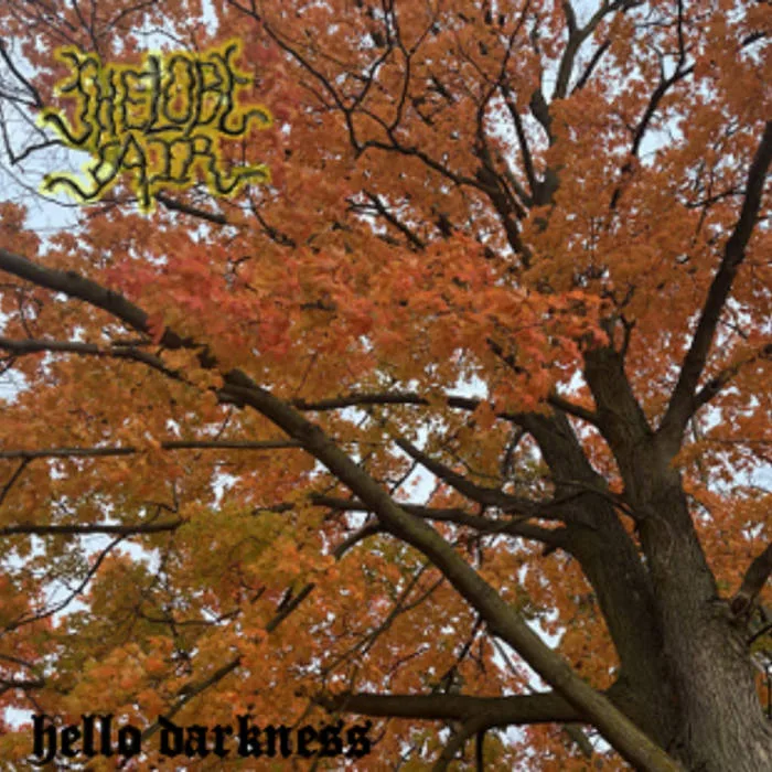 Hello Darkness cover