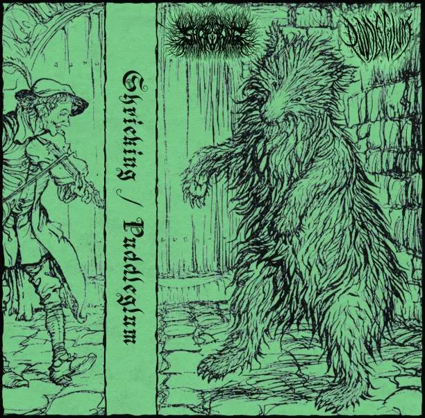 Shrieking / Puddleglum cover