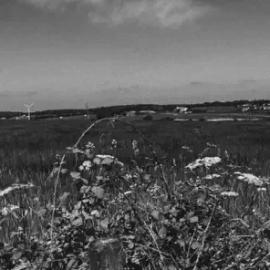 Strings of the Heart cover