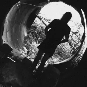 Desolate Heart cover