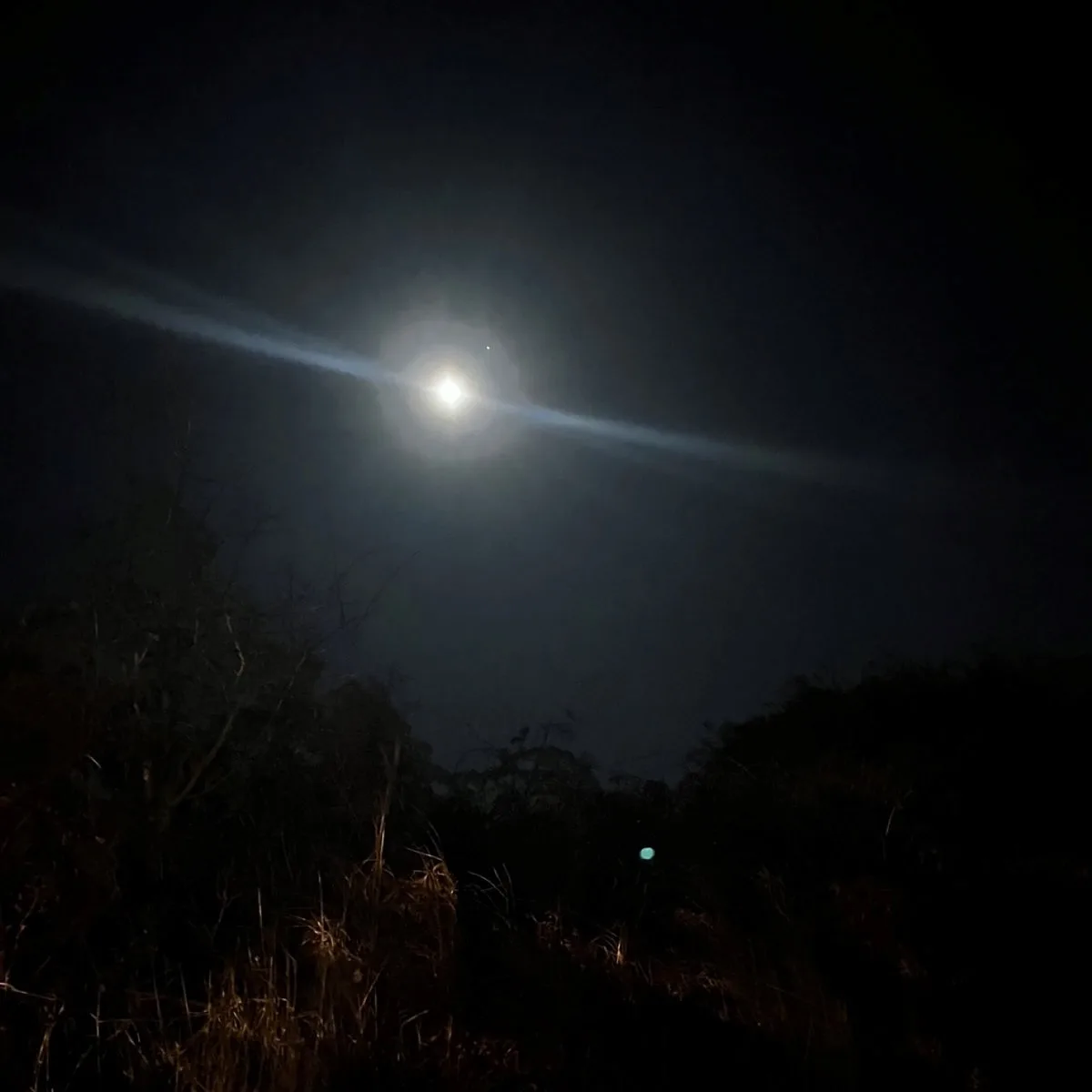 Four Bottles of Pills cover