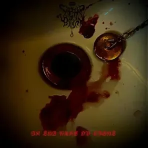 In Thy Wake ov Light cover