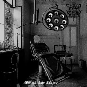 Descent into Lunacy cover