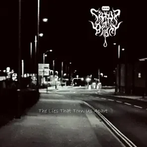 The Lies That Torn Us Apart cover