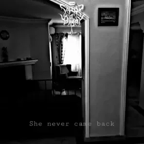 She Never Came Back cover