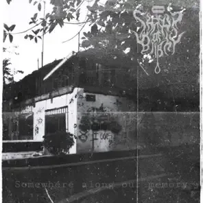 Somewhere Along Our Memory cover