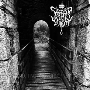 Rotting and Forgotten cover