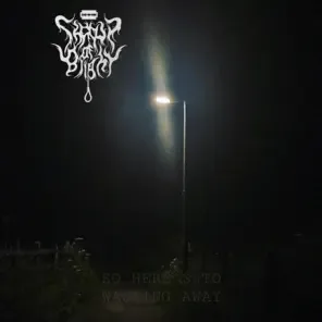 So Here's to Wasting Away cover