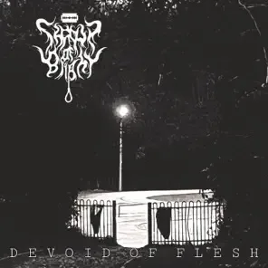 Devoid of Flesh cover