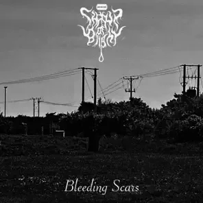 Bleeding Scars cover