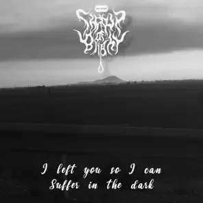 I Left You So I Can Suffer in the Dark cover