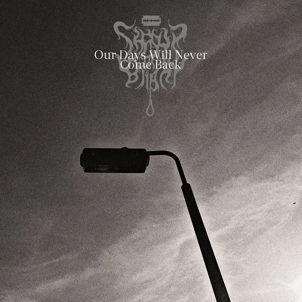 Our Days Will Never Come Back cover