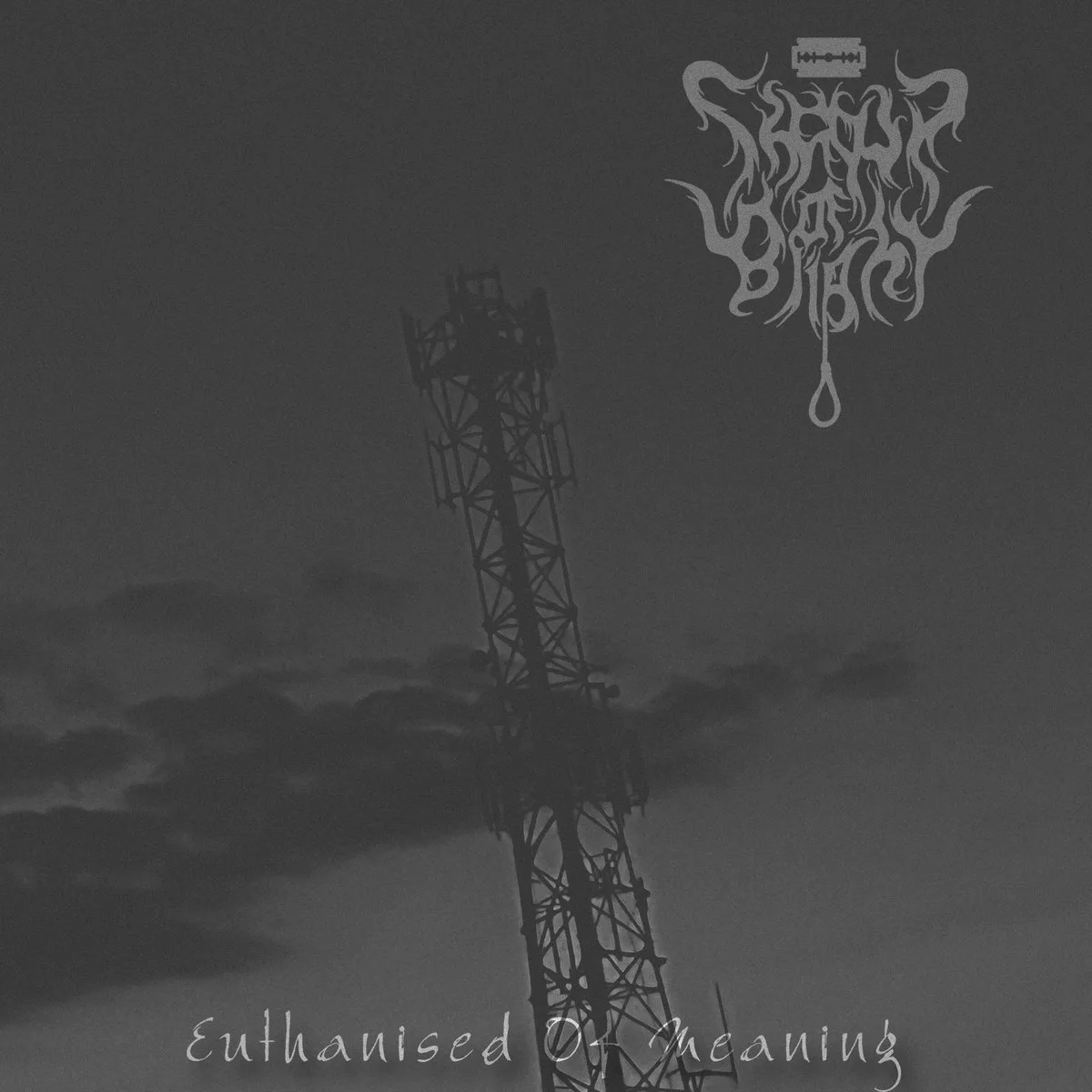 Euthanised of Meaning cover