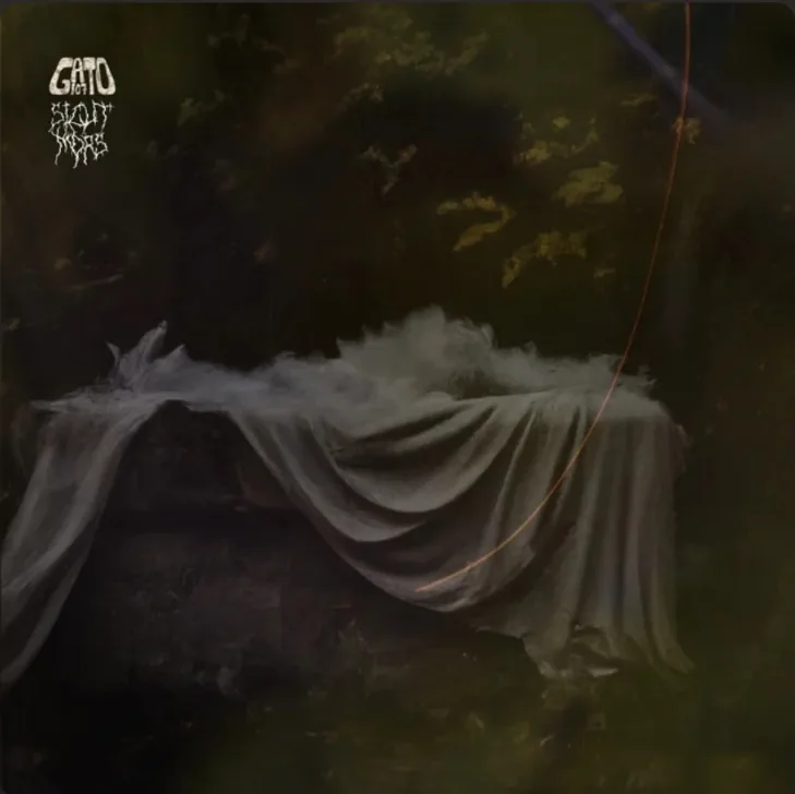 Luna congelada cover