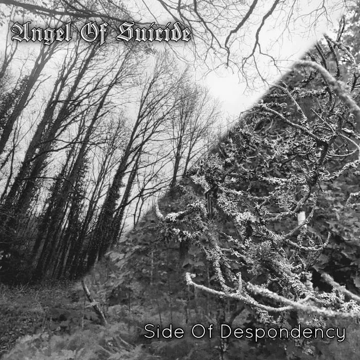 Cold Trees from the Past cover