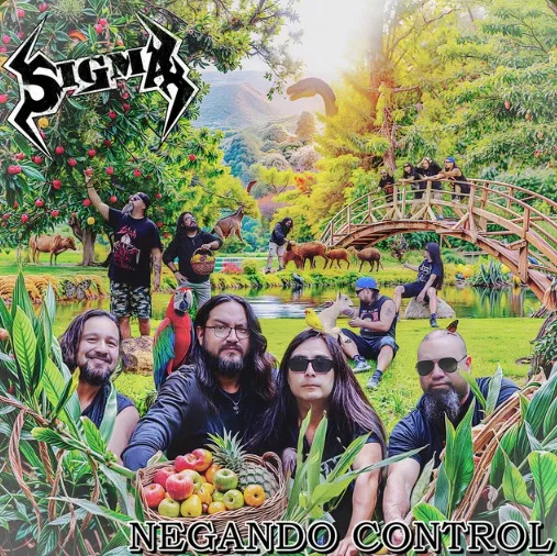 Negando Control cover