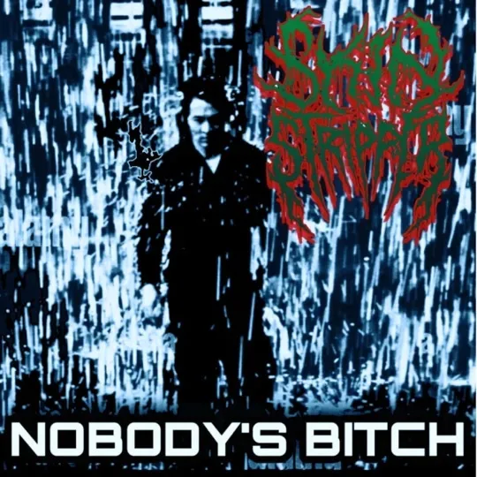 Nobody's Bitch cover