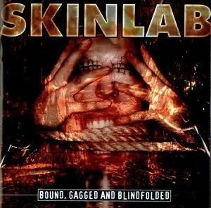 Bound, Gagged and Blindfolded cover