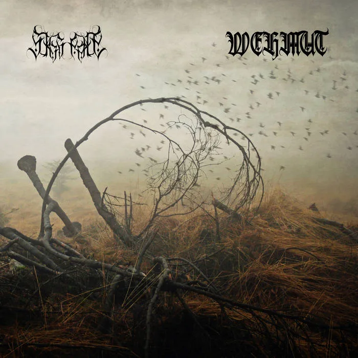 Skognatt / Wehmut cover