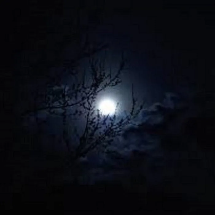 SkullDozer -The Singles cover