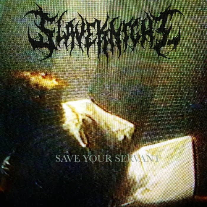 Save Your Servant cover