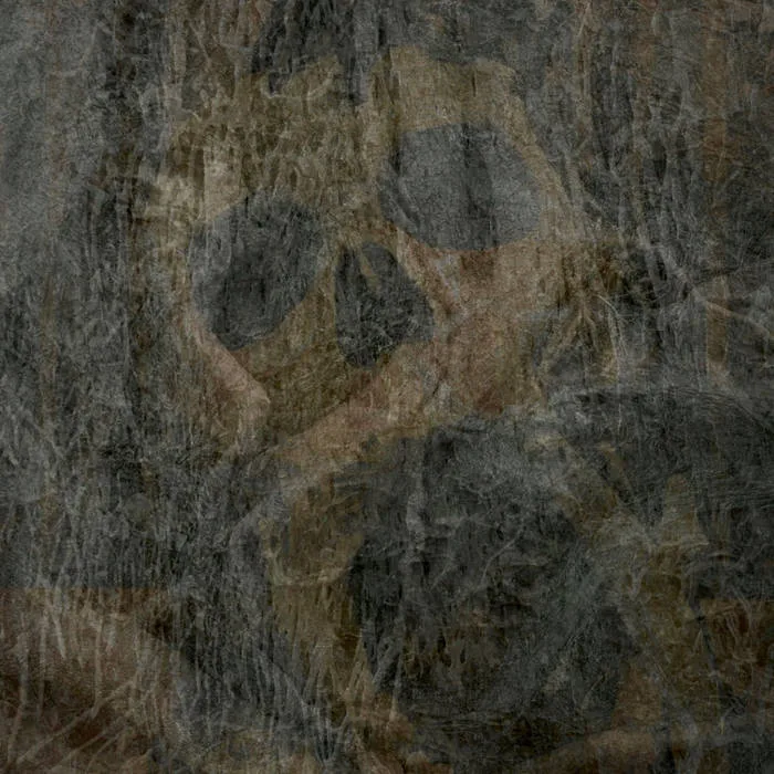 Glimpse of the Bahamut cover