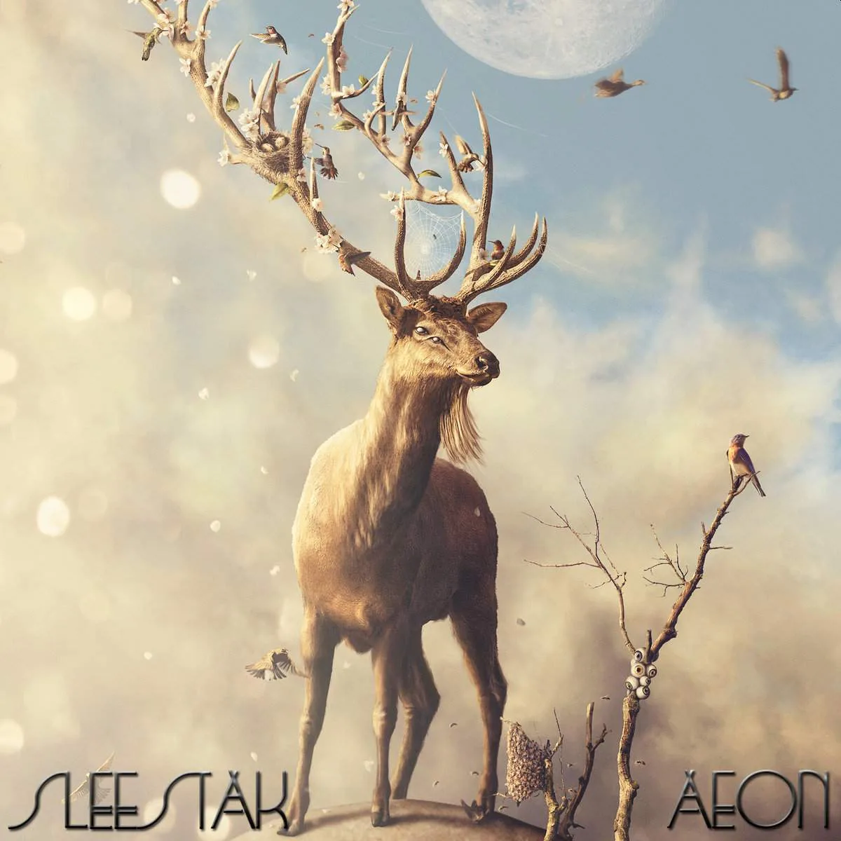Aeon cover