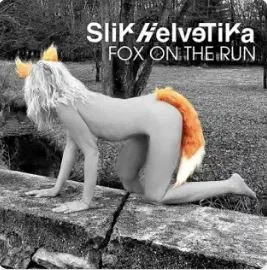 Fox on the Run cover