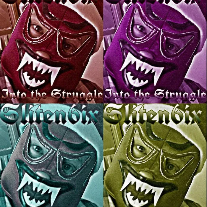 Into the Struggle cover