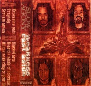 Weakness Cast Aside cover