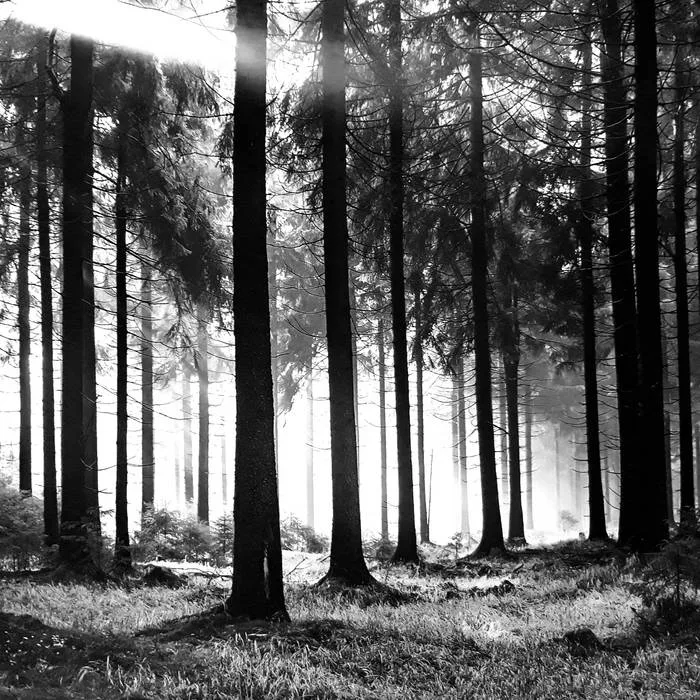 A Maze of Thoughts cover