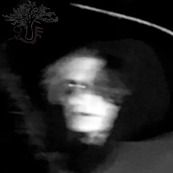 Rå av illvilja cover