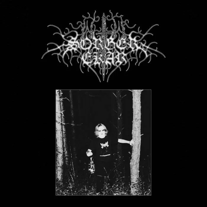 She Travels Through the Mist cover