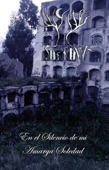 En el silencio de mi amarga soledad cover