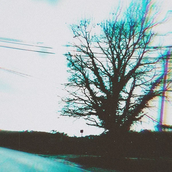 Demos & Unreleased Tracks cover