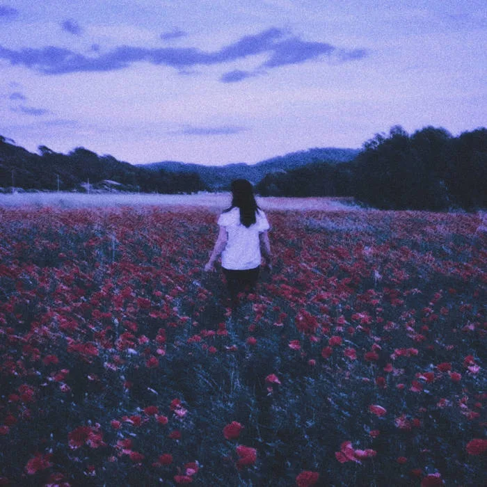 I Will Never Forget cover