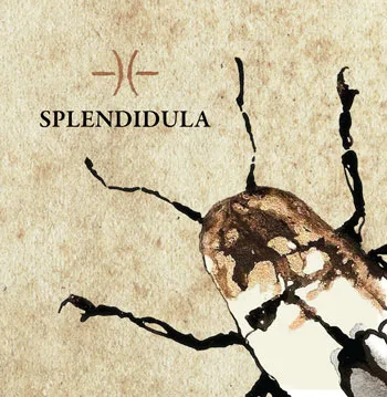 Splendidula cover