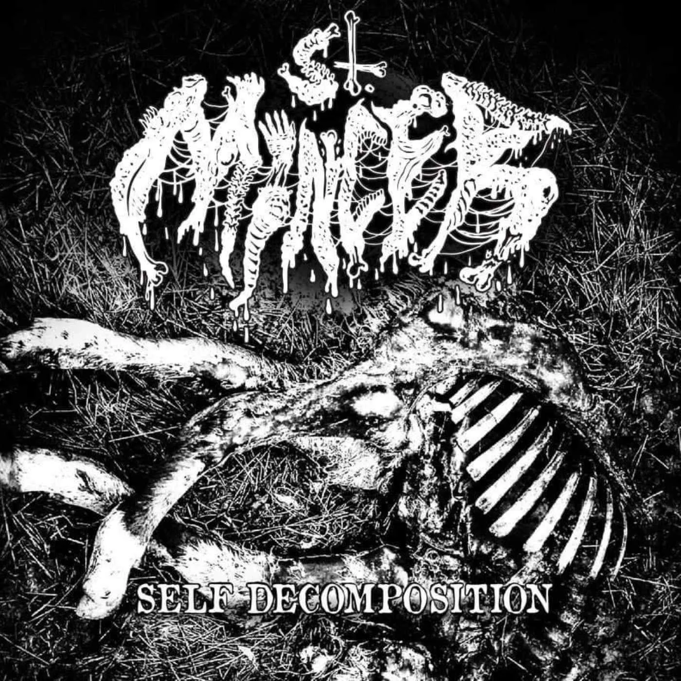 Self Decomposition cover