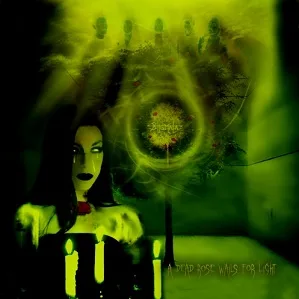 Dead Rose Wails for Light cover